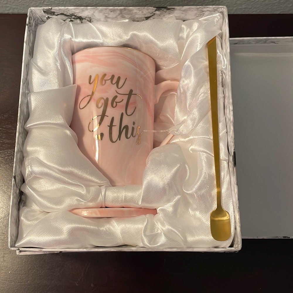 “YOU GOT THIS” Mug